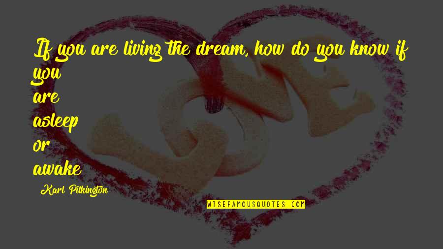 Tansys On Main Alma Wi Quotes By Karl Pilkington: If you are living the dream, how do