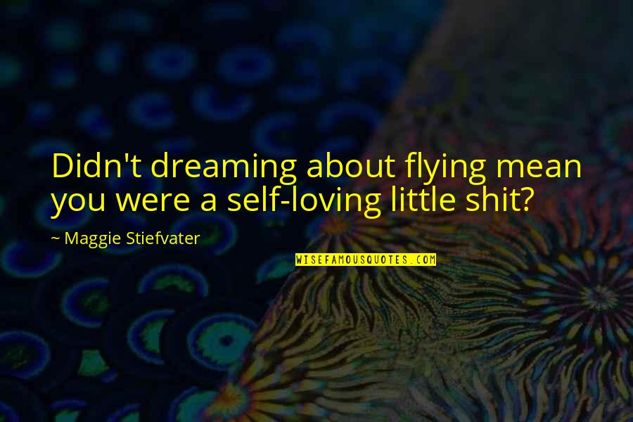 Tantas Quotes By Maggie Stiefvater: Didn't dreaming about flying mean you were a