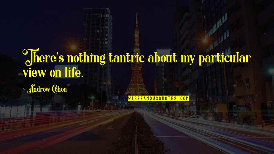 Tantric Quotes By Andrew Cohen: There's nothing tantric about my particular view on