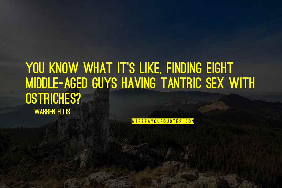 Tantric Sex Quotes By Warren Ellis: You know what it's like, finding eight middle-aged