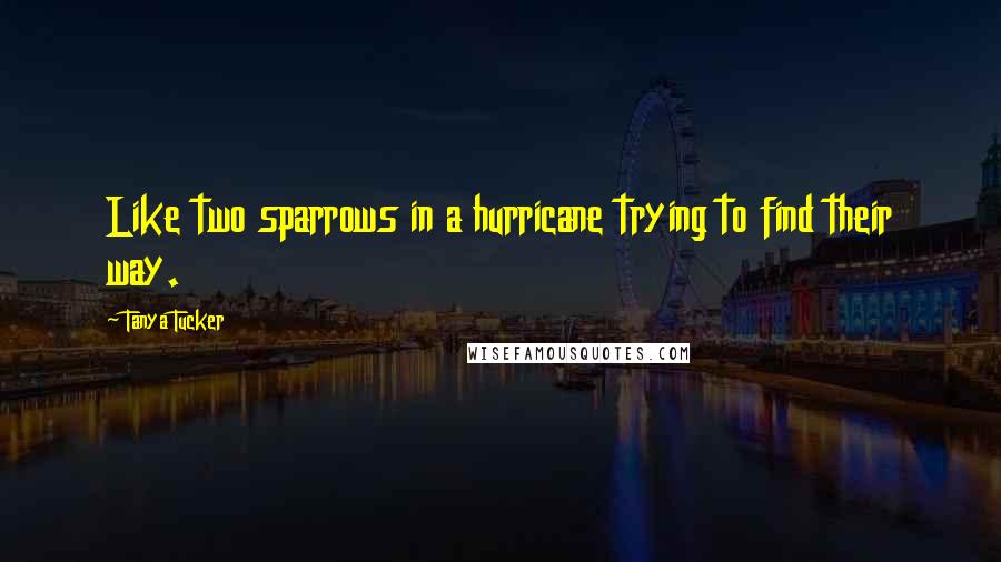 Tanya Tucker quotes: Like two sparrows in a hurricane trying to find their way.