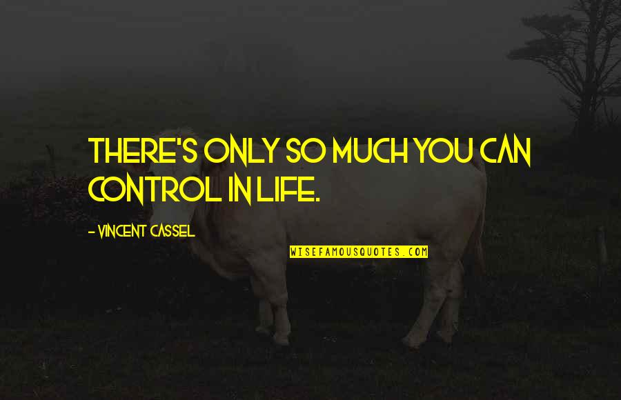 Tao Of Leadership Quotes By Vincent Cassel: There's only so much you can control in Tao Of Leadership Quotes By Vincent Cassel: There's only so much you can control in