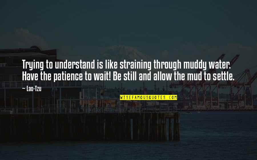 Taoism Lao Tzu Quotes By Lao-Tzu: Trying to understand is like straining through muddy Taoism Lao Tzu Quotes By Lao-Tzu: Trying to understand is like straining through muddy