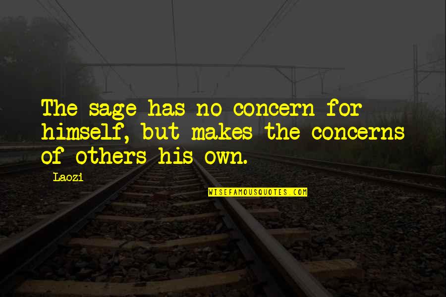 Taoism Quotes By Laozi: The sage has no concern for himself, but