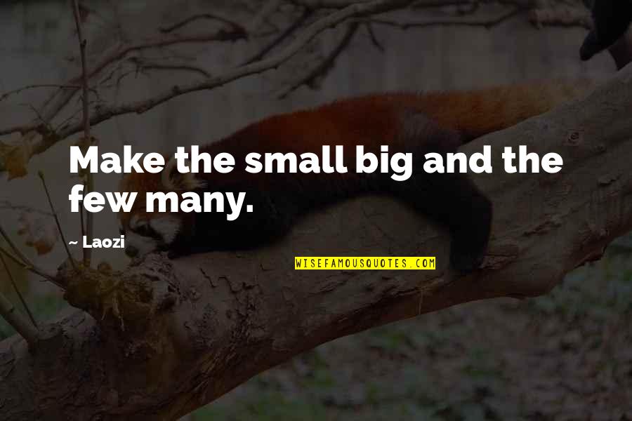 Taoism Quotes By Laozi: Make the small big and the few many.