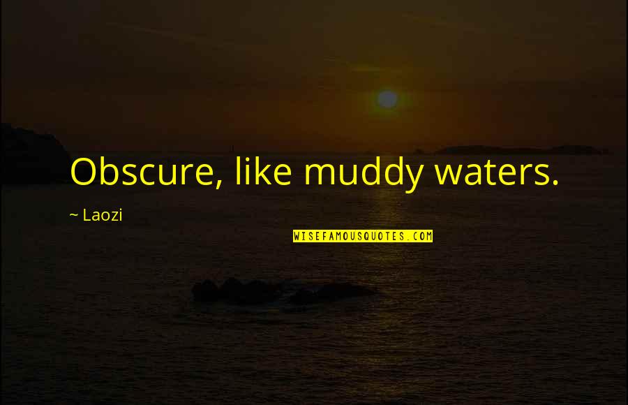 Taoism Water Quotes By Laozi: Obscure, like muddy waters.