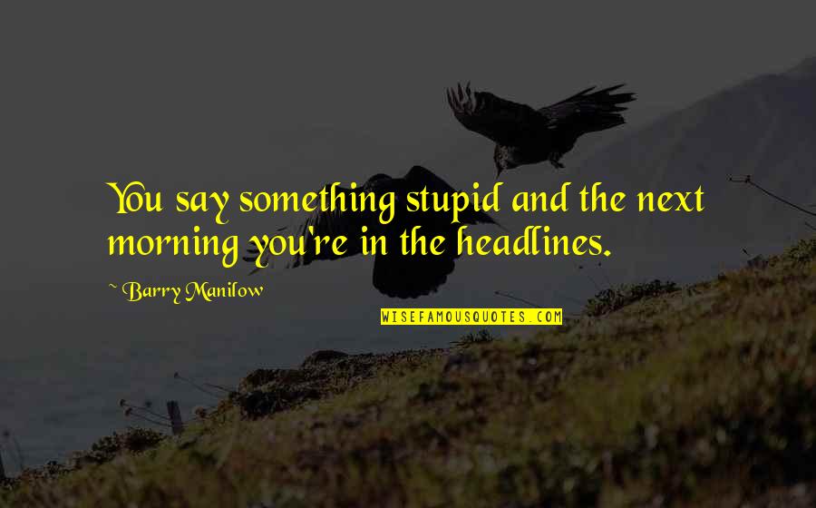 Tapanainen Chiropractic Quotes By Barry Manilow: You say something stupid and the next morning