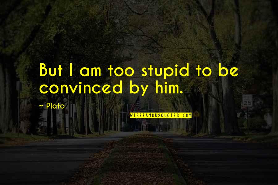 Tapayan Quotes By Plato: But I am too stupid to be convinced