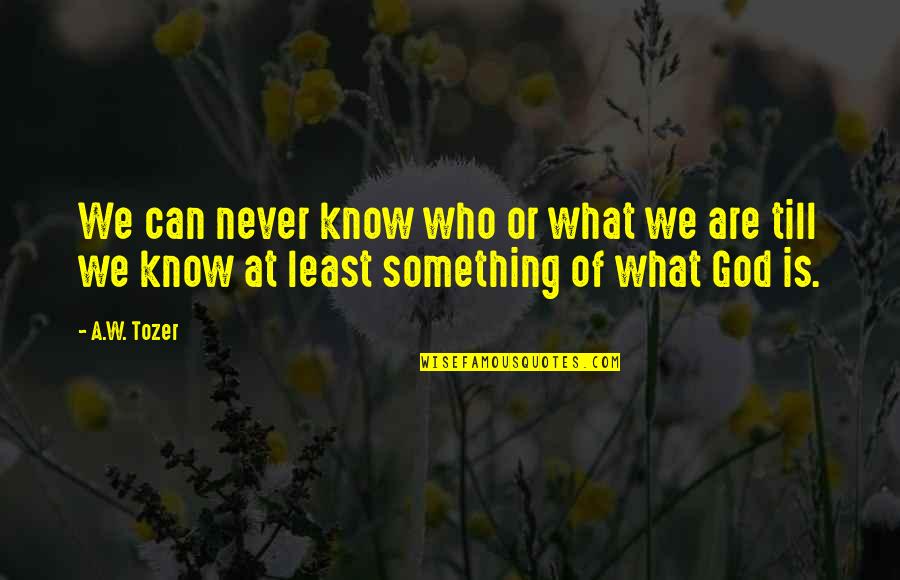 Tapella And Eberspacher Quotes By A.W. Tozer: We can never know who or what we