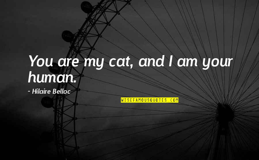 Taperin Quotes By Hilaire Belloc: You are my cat, and I am your