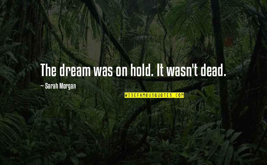 Tapinosis Quotes By Sarah Morgan: The dream was on hold. It wasn't dead.