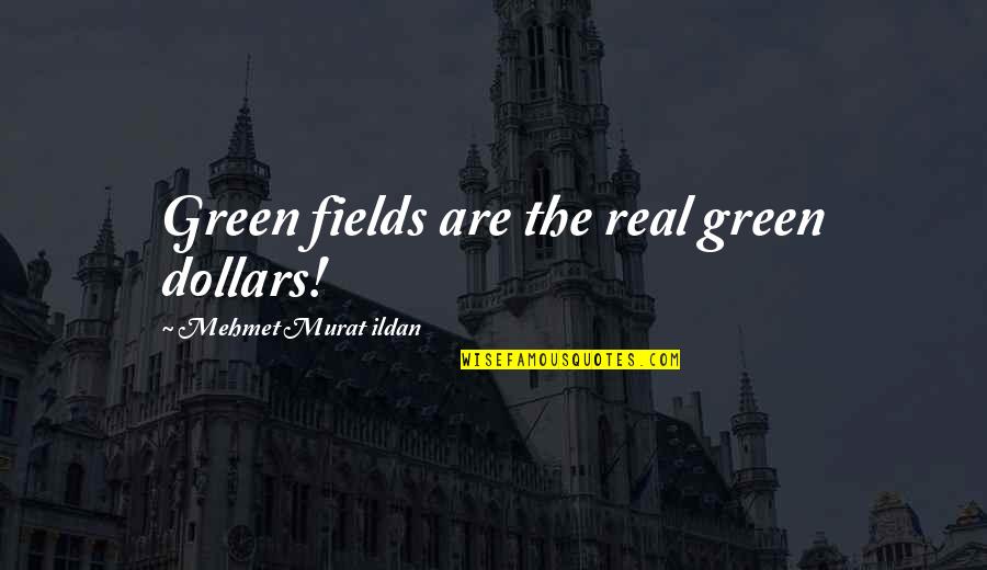 Taqwa Quotes By Mehmet Murat Ildan: Green fields are the real green dollars!