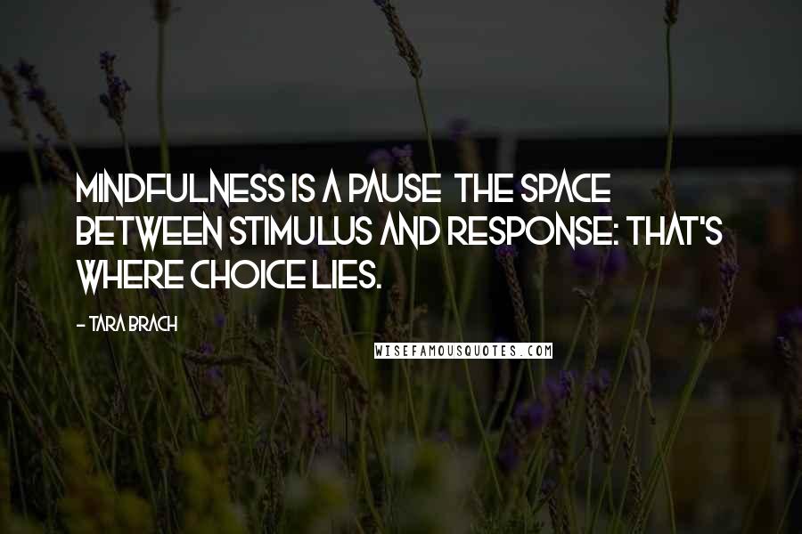 Tara Brach quotes: Mindfulness is a pause the space between stimulus and response: that's where choice lies.