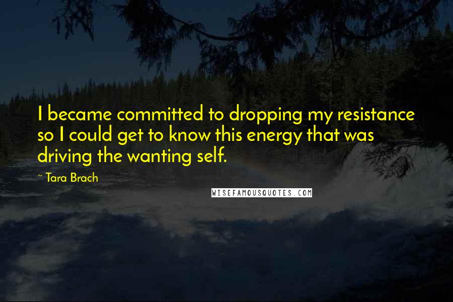 Tara Brach quotes: I became committed to dropping my resistance so I could get to know this energy that was driving the wanting self.