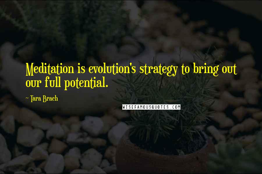 Tara Brach quotes: Meditation is evolution's strategy to bring out our full potential.