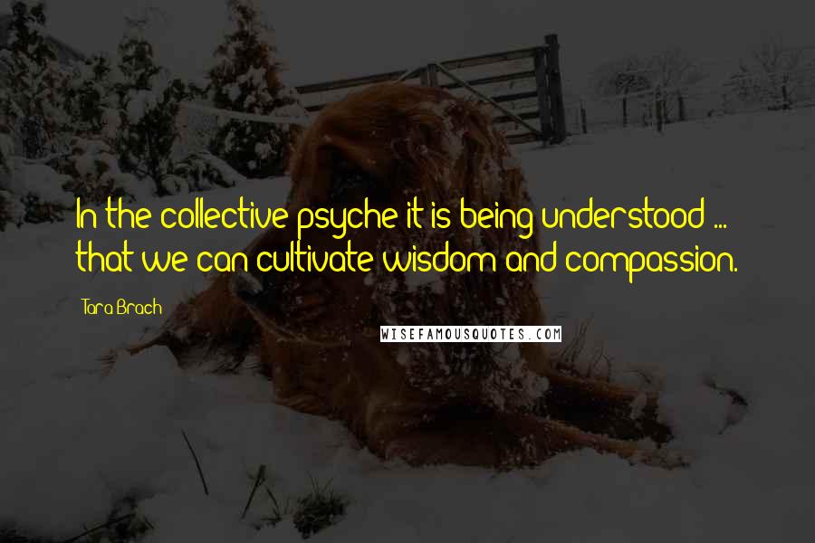 Tara Brach quotes: In the collective psyche it is being understood ... that we can cultivate wisdom and compassion.