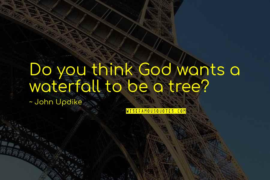 Tara Webster Quotes By John Updike: Do you think God wants a waterfall to