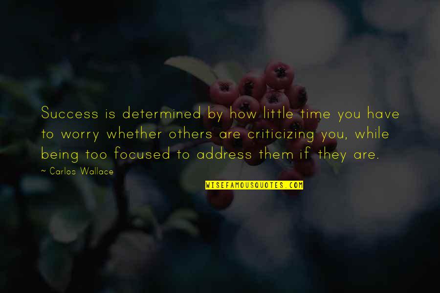 Tarasevich Sandra Quotes By Carlos Wallace: Success is determined by how little time you