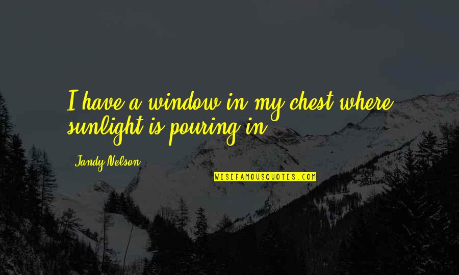 Tarbfhlaith Quotes By Jandy Nelson: I have a window in my chest where