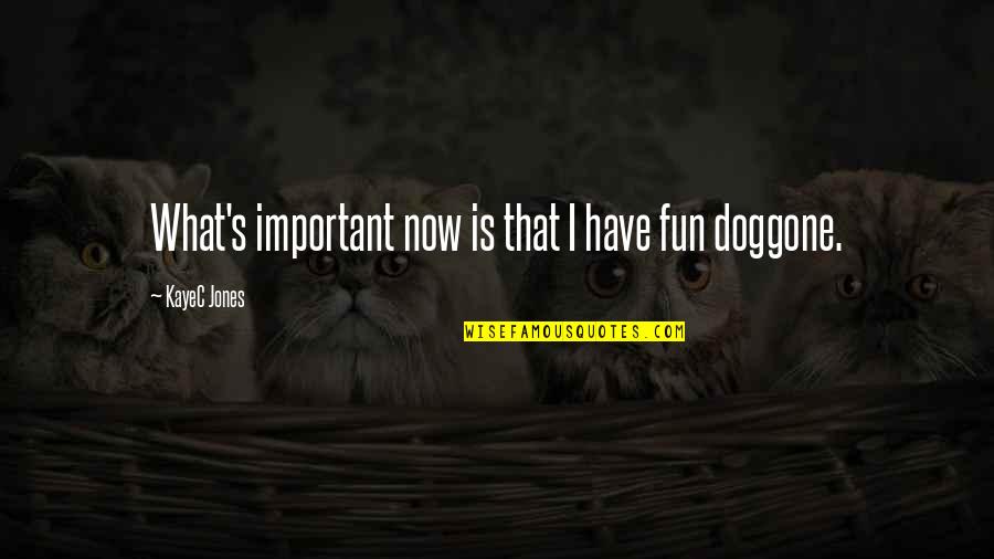 Tareekh Ibne Quotes By KayeC Jones: What's important now is that I have fun Tareekh Ibne Quotes By KayeC Jones: What's important now is that I have fun