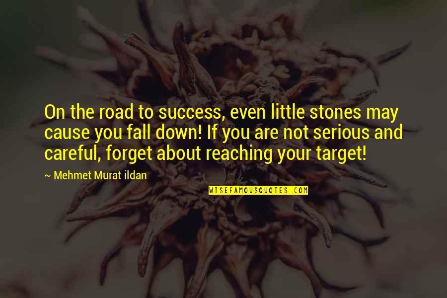 Target Reaching Quotes By Mehmet Murat Ildan: On the road to success, even little stones