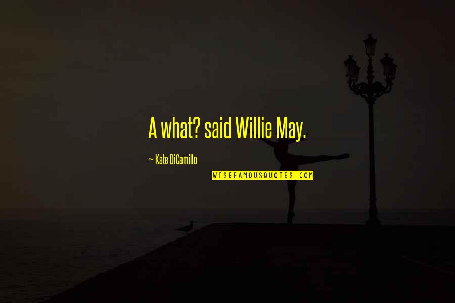 Targets In Life Quotes By Kate DiCamillo: A what? said Willie May.