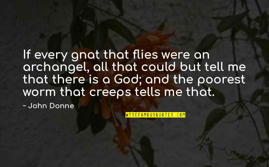 Taric's Quotes By John Donne: If every gnat that flies were an archangel,