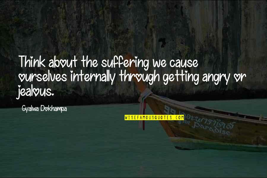 Tarjei B Quotes By Gyalwa Dokhampa: Think about the suffering we cause ourselves internally