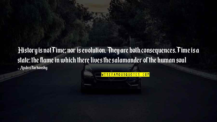 Tarkovsky Quotes By Andrei Tarkovsky: History is not Time; nor is evolution. They Tarkovsky Quotes By Andrei Tarkovsky: History is not Time; nor is evolution. They