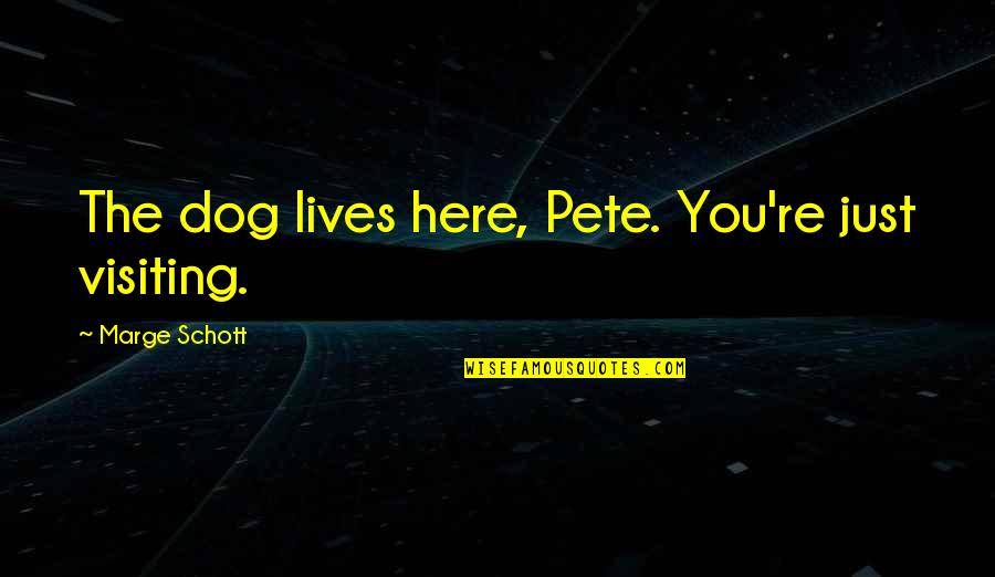 Tarlov Cyst Quotes By Marge Schott: The dog lives here, Pete. You're just visiting. Tarlov Cyst Quotes By Marge Schott: The dog lives here, Pete. You're just visiting.