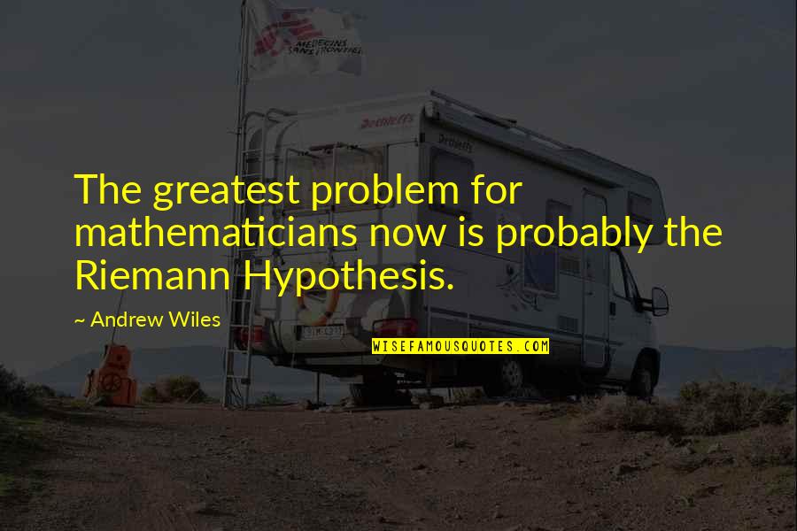Tarmo Soomere Quotes By Andrew Wiles: The greatest problem for mathematicians now is probably