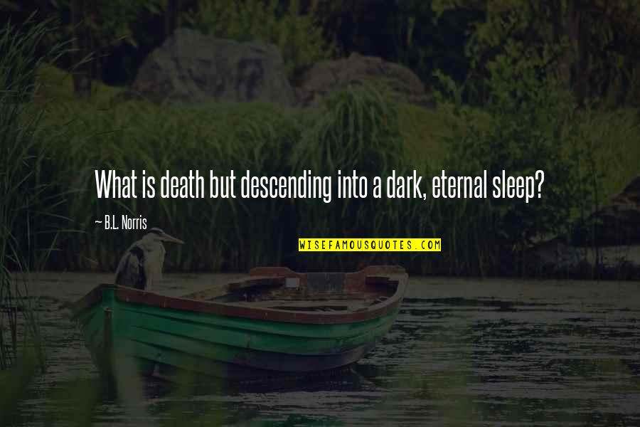 Tarnoff Austria Quotes By B.L. Norris: What is death but descending into a dark,