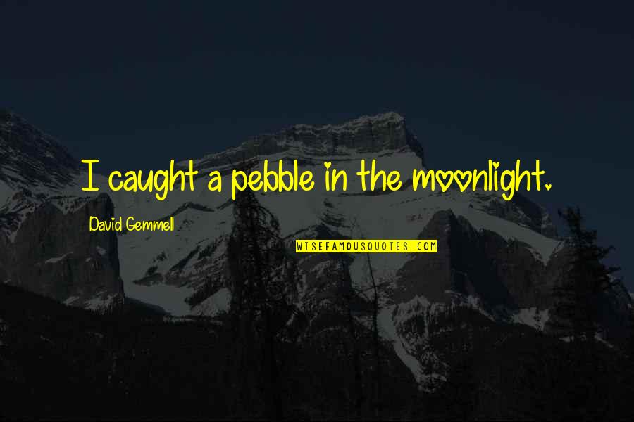 Tarragon Spice Quotes By David Gemmell: I caught a pebble in the moonlight. Tarragon Spice Quotes By David Gemmell: I caught a pebble in the moonlight.