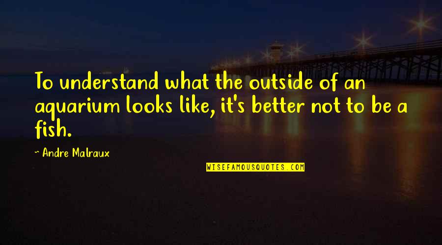 Tarshish Stone Quotes By Andre Malraux: To understand what the outside of an aquarium Tarshish Stone Quotes By Andre Malraux: To understand what the outside of an aquarium