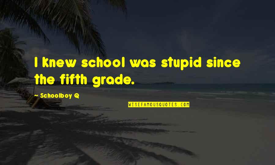 Tartamella Obit Quotes By Schoolboy Q: I knew school was stupid since the fifth