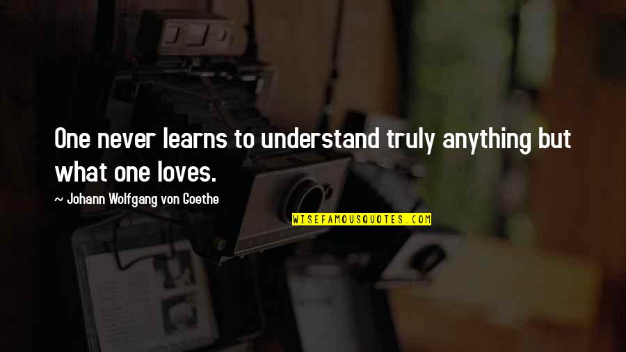 Taru Sormusten Herrasta Quotes By Johann Wolfgang Von Goethe: One never learns to understand truly anything but Taru Sormusten Herrasta Quotes By Johann Wolfgang Von Goethe: One never learns to understand truly anything but