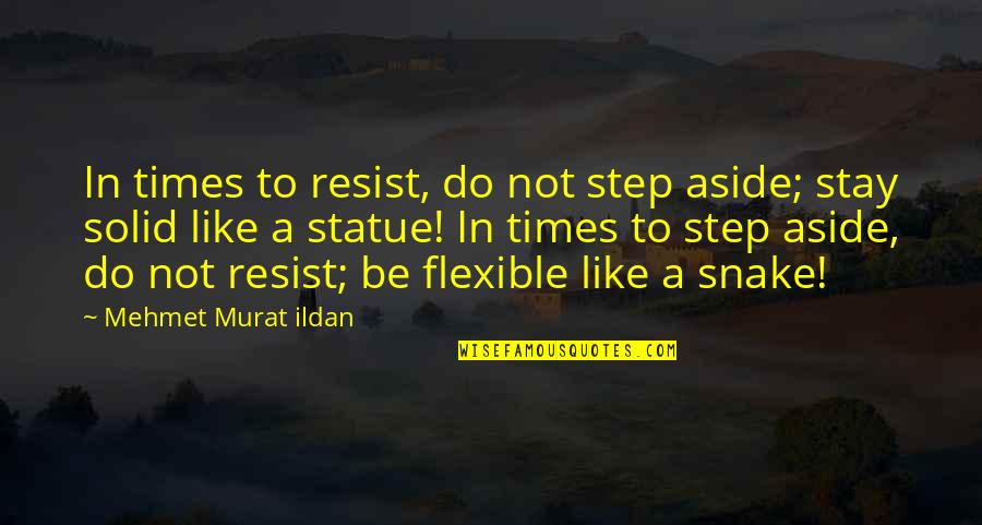 Tarugo Clavo Quotes By Mehmet Murat Ildan: In times to resist, do not step aside;
