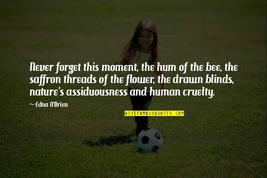 Tasdemir Pillows Quotes By Edna O'Brien: Never forget this moment, the hum of the Tasdemir Pillows Quotes By Edna O'Brien: Never forget this moment, the hum of the