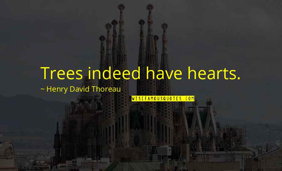 Tasered Balls Quotes By Henry David Thoreau: Trees indeed have hearts. Tasered Balls Quotes By Henry David Thoreau: Trees indeed have hearts.