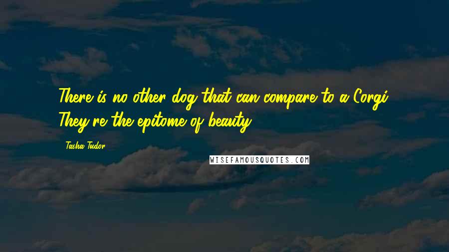 Tasha Tudor quotes: There is no other dog that can compare to a Corgi. They're the epitome of beauty.