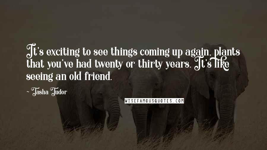 Tasha Tudor quotes: It's exciting to see things coming up again, plants that you've had twenty or thirty years. It's like seeing an old friend.