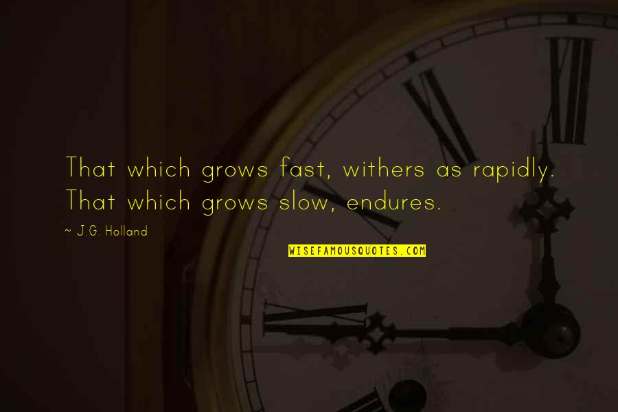 Tasm Spider Man Quotes By J.G. Holland: That which grows fast, withers as rapidly. That