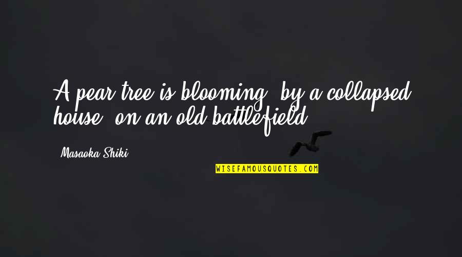 Tassazione Ticino Quotes By Masaoka Shiki: A pear tree is blooming, by a collapsed
