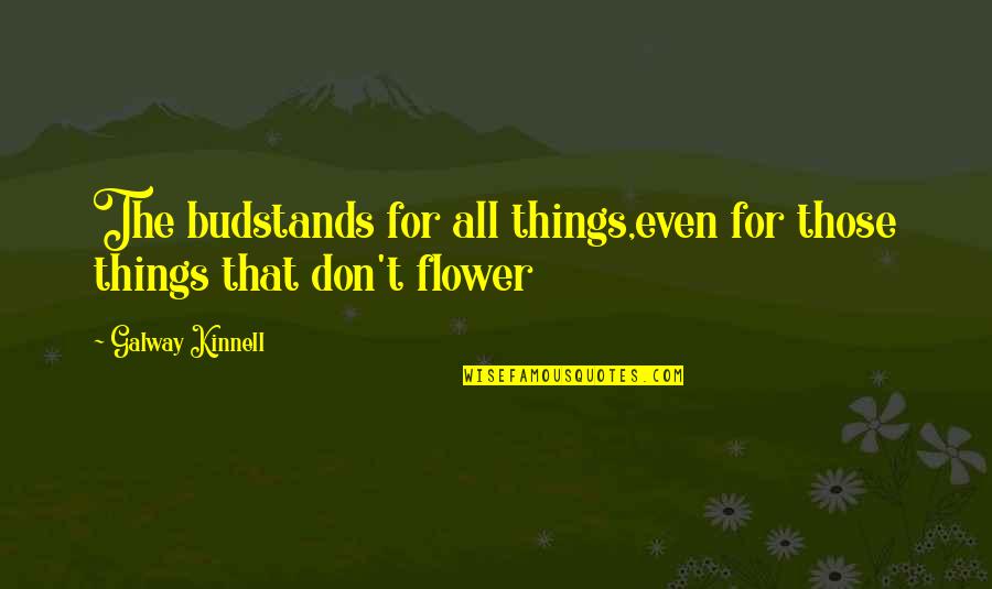 Tastamam Gitar Quotes By Galway Kinnell: The budstands for all things,even for those things Tastamam Gitar Quotes By Galway Kinnell: The budstands for all things,even for those things