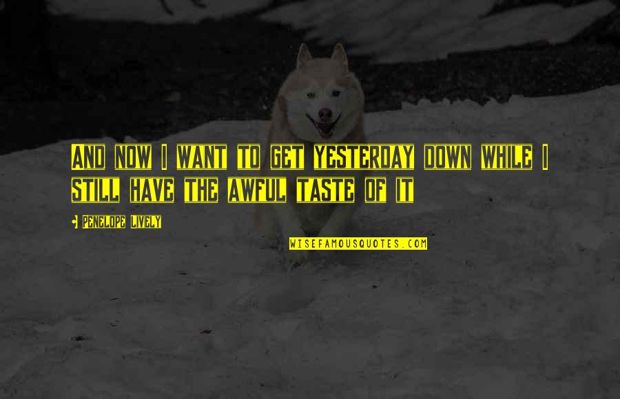 Taste Life Quotes By Penelope Lively: And now I want to get yesterday down