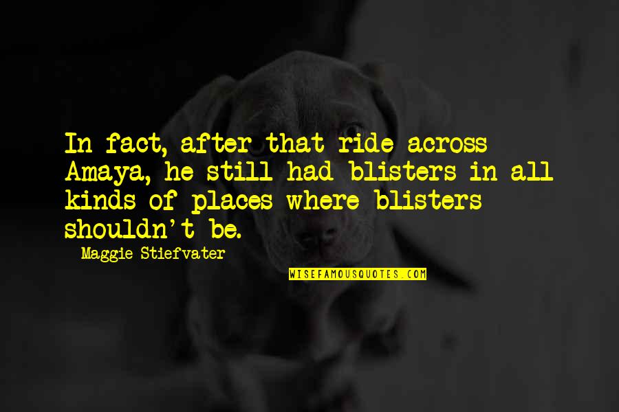 Tastefulness Quotes By Maggie Stiefvater: In fact, after that ride across Amaya, he