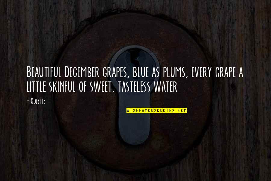 Tasteless Quotes By Colette: Beautiful December grapes, blue as plums, every grape Tasteless Quotes By Colette: Beautiful December grapes, blue as plums, every grape