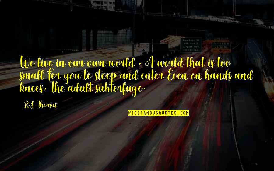 Tatapan Kosong Quotes By R.S. Thomas: We live in our own world , A