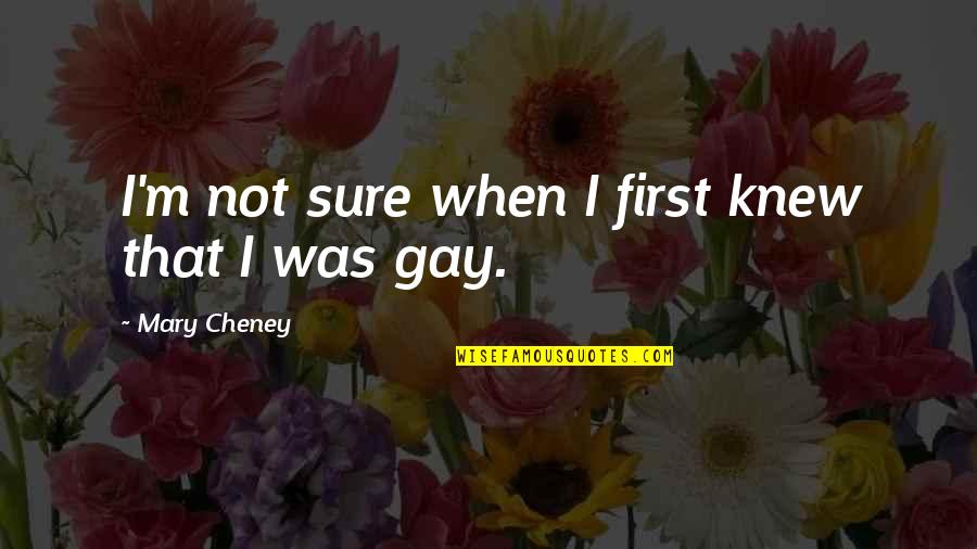 Tathata Quotes By Mary Cheney: I'm not sure when I first knew that Tathata Quotes By Mary Cheney: I'm not sure when I first knew that