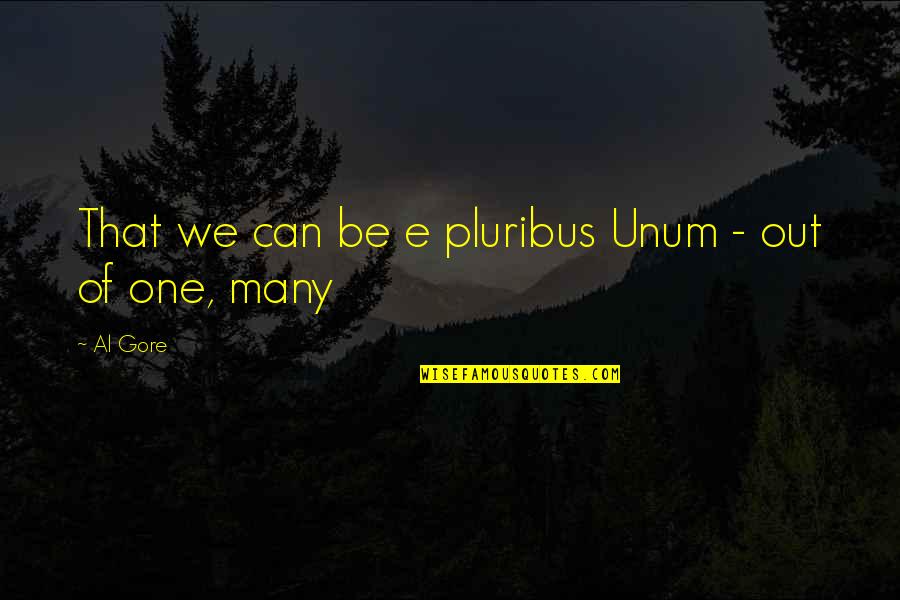 Tatlantis Quotes By Al Gore: That we can be e pluribus Unum -